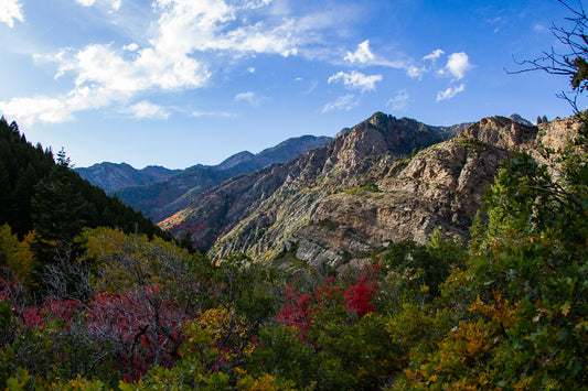 Lake Blanche "Spoils on the Way Out" Rolled Print