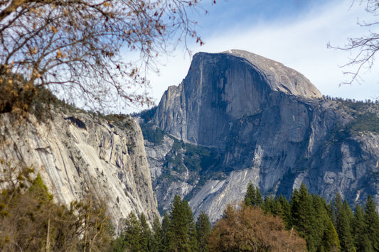 Half Dome from the Valley Floor